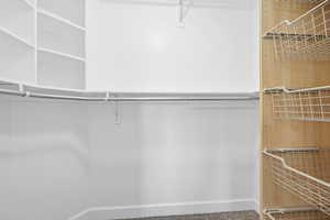 Walk in closet with NEWLY carpeted floors