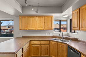 Kitchen featuring dark countertops, stainless steel dishwasher, healthy amount of natural light, a tray ceiling, and a peninsula