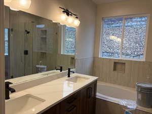 Full bathroom featuring a shower stall, plenty of natural light, a garden tub, and double vanity