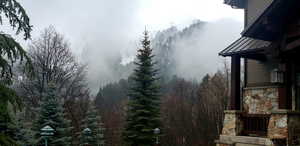 Homeowner's photograph from the driveway