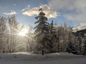 Homeowner's photograph from the driveway