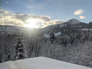 Homeowner's photograph from the front porch