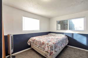Carpeted bedroom featuring a textured ceiling, heating unit, and multiple windows