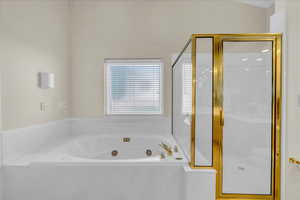 Full bathroom featuring a shower stall and a tub with jets