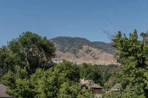 View of mountain background