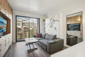 Living area with dark wood-style flooring