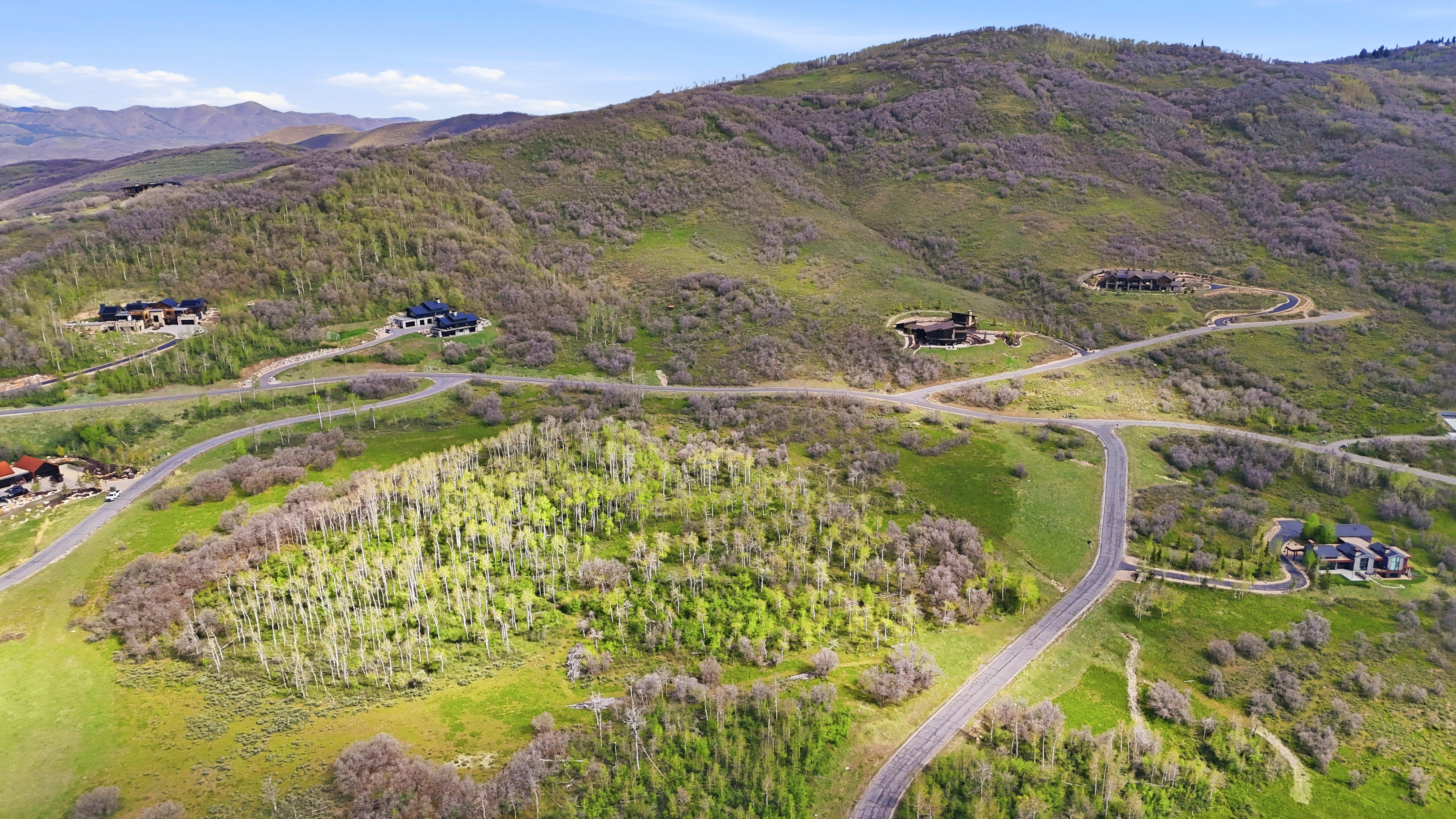 Expansive mountain-side property featuring paved roads, mature trees, and varied topography