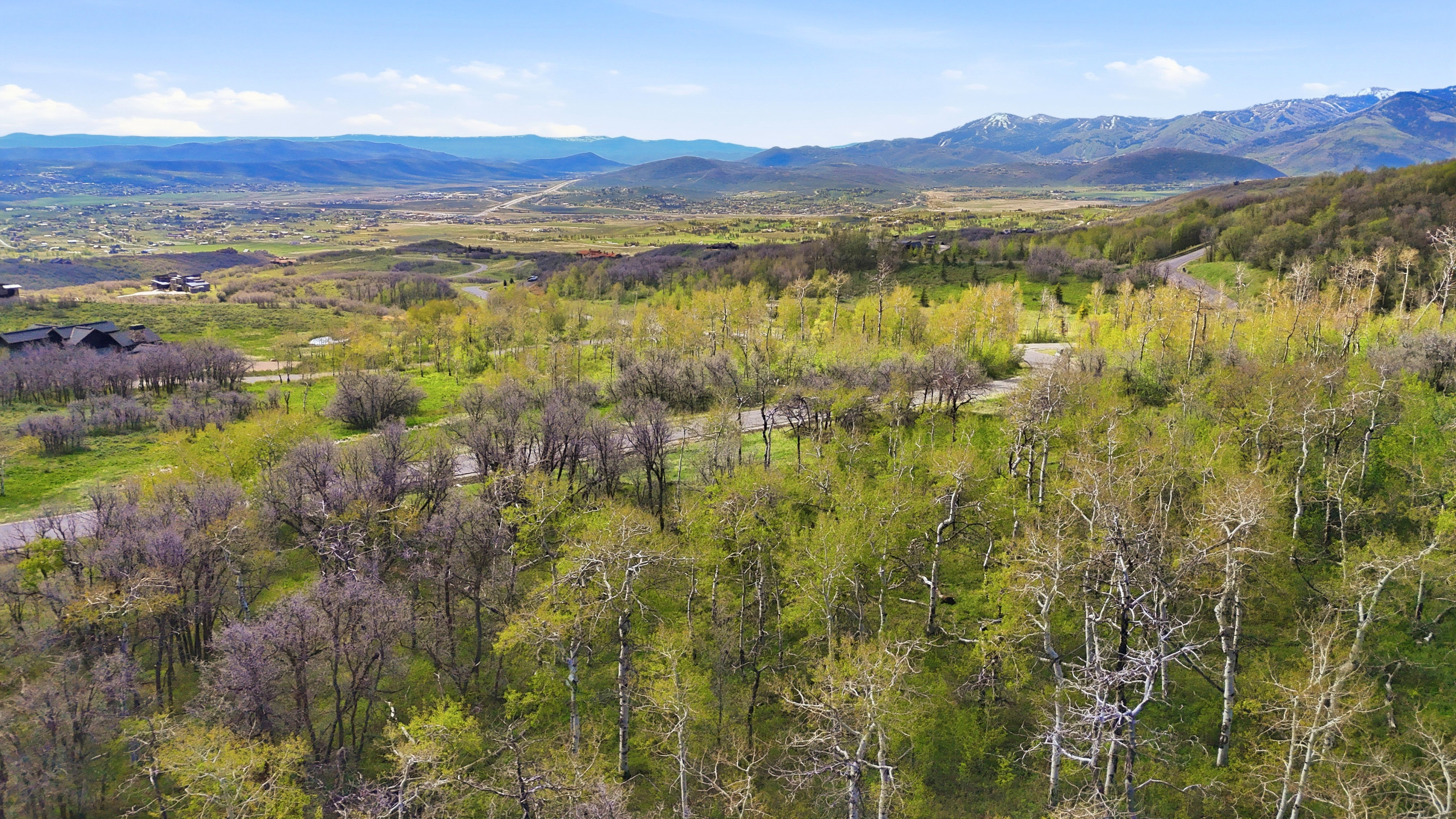 Expansive wooded acreage with a paved road visible