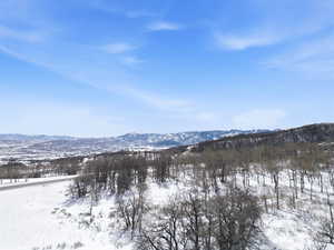 View of mountain background