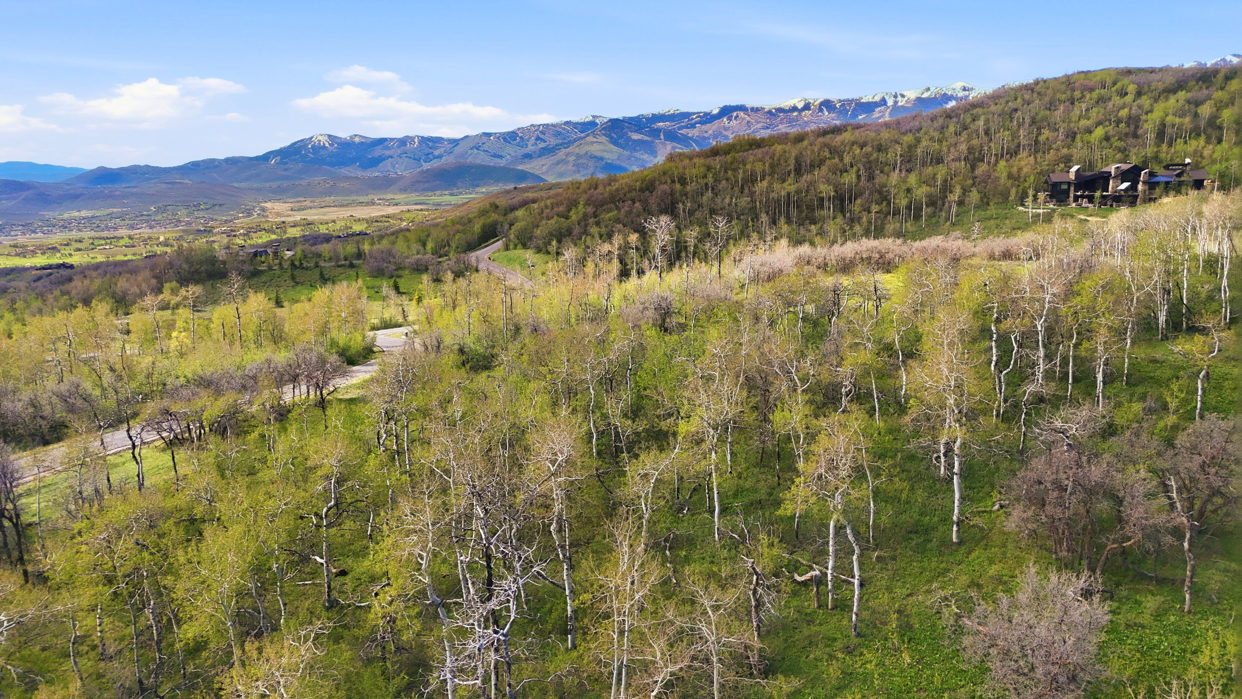Hillside property featuring abundant deciduous trees, a winding paved road, distant mountain ranges, and a partial view of a multi-level structure with dark-toned exterior