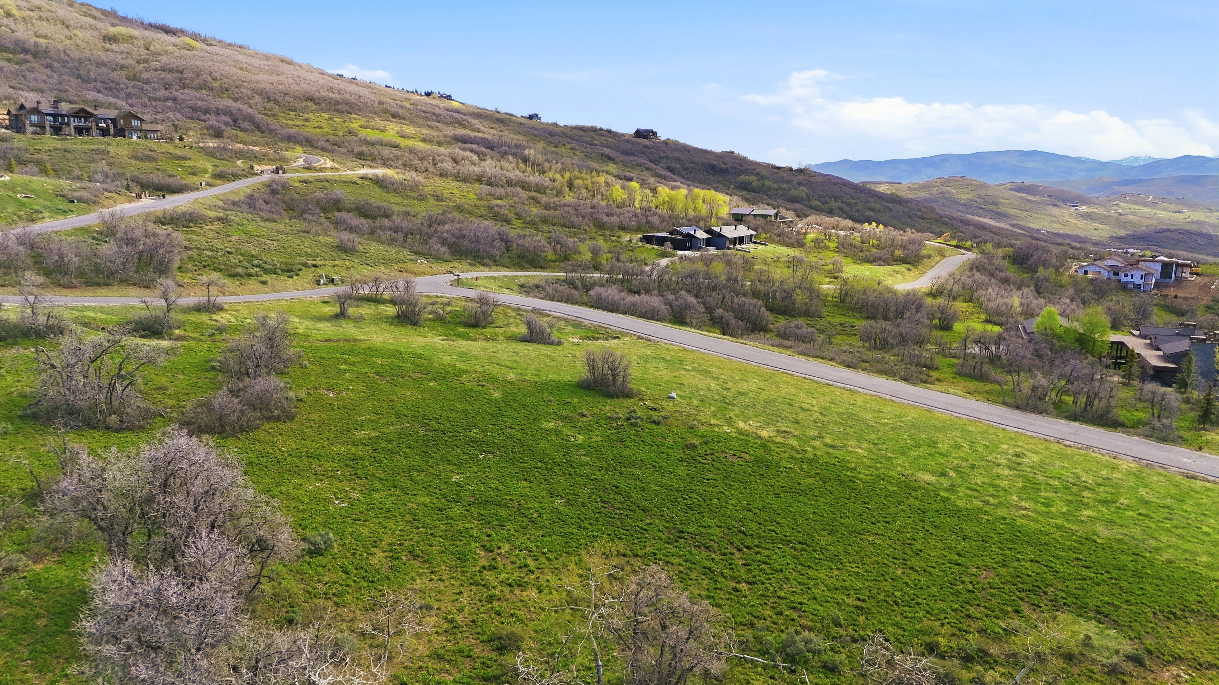 Spacious property with abundant green space and a paved roadway