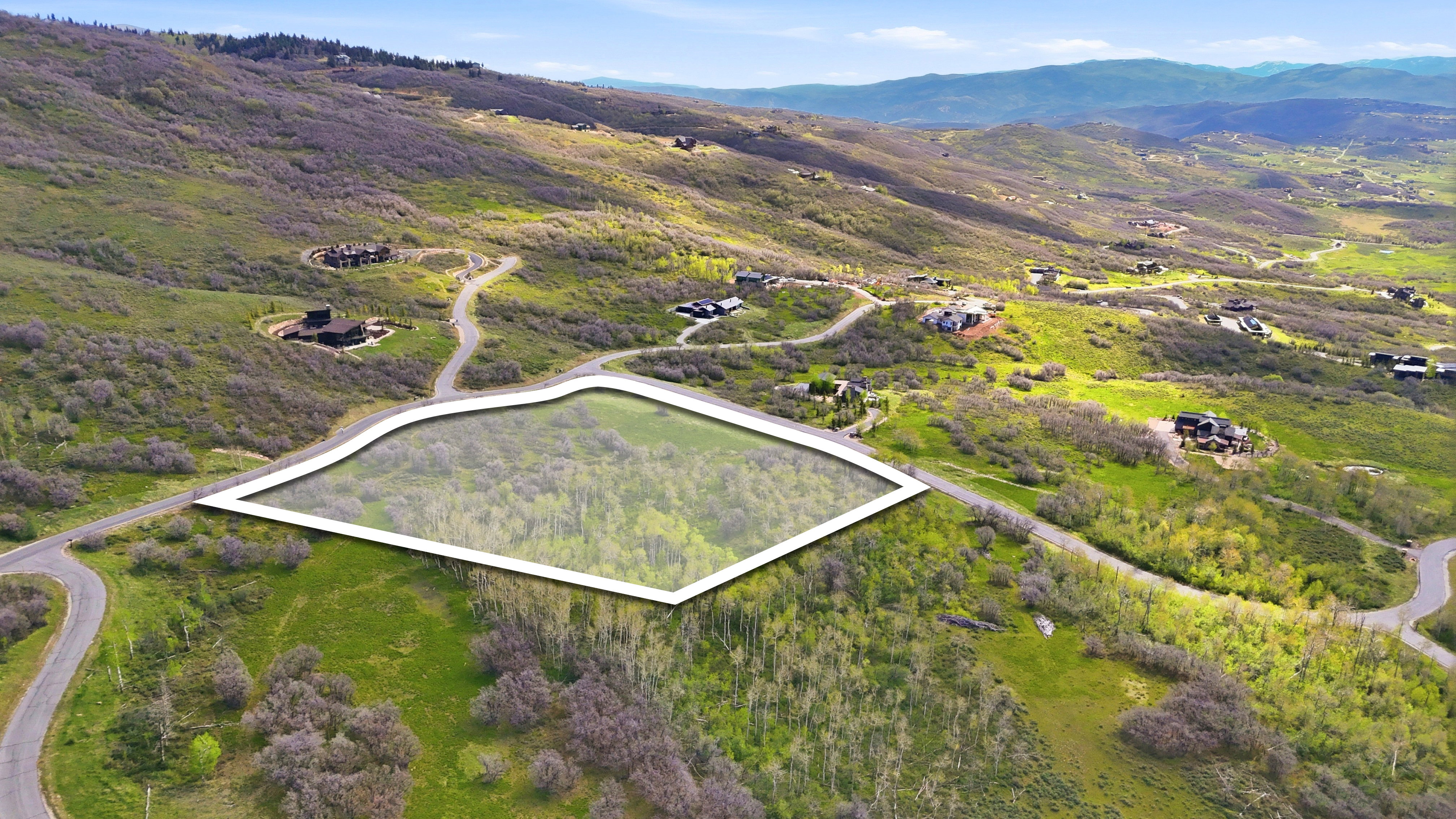Expansive lot situated on a verdant hillside, featuring a mix of mature trees and open grassy areas