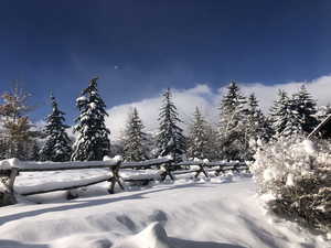 View of home's community