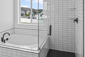 Full bathroom with a shower stall, a garden tub, and healthy amount of natural light