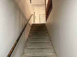 Stairs with ornamental molding