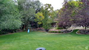 View of green lawn