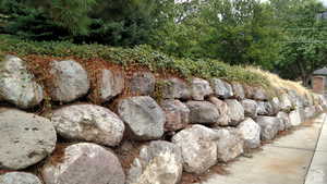 Exterior view of propane tank