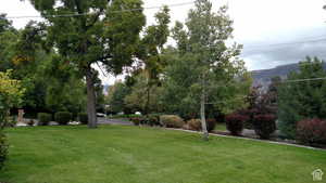 View of green lawn