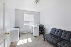 Office area with light colored carpet and a textured ceiling