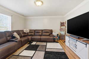 Living area with ornamental molding, light wood finished floors, and a textured ceiling