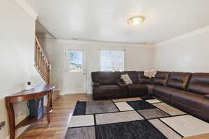 Living area featuring light wood finished floors, ornamental molding, and a textured ceiling