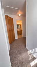 Hallway featuring carpet floors and baseboards