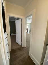 Hall featuring ornamental molding and dark colored carpet