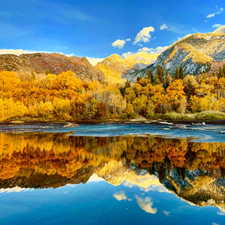 Water view featuring a mountainous background and a heavily wooded area