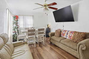 Living area featuring a ceiling fan, wood finished floors, and a textured ceiling