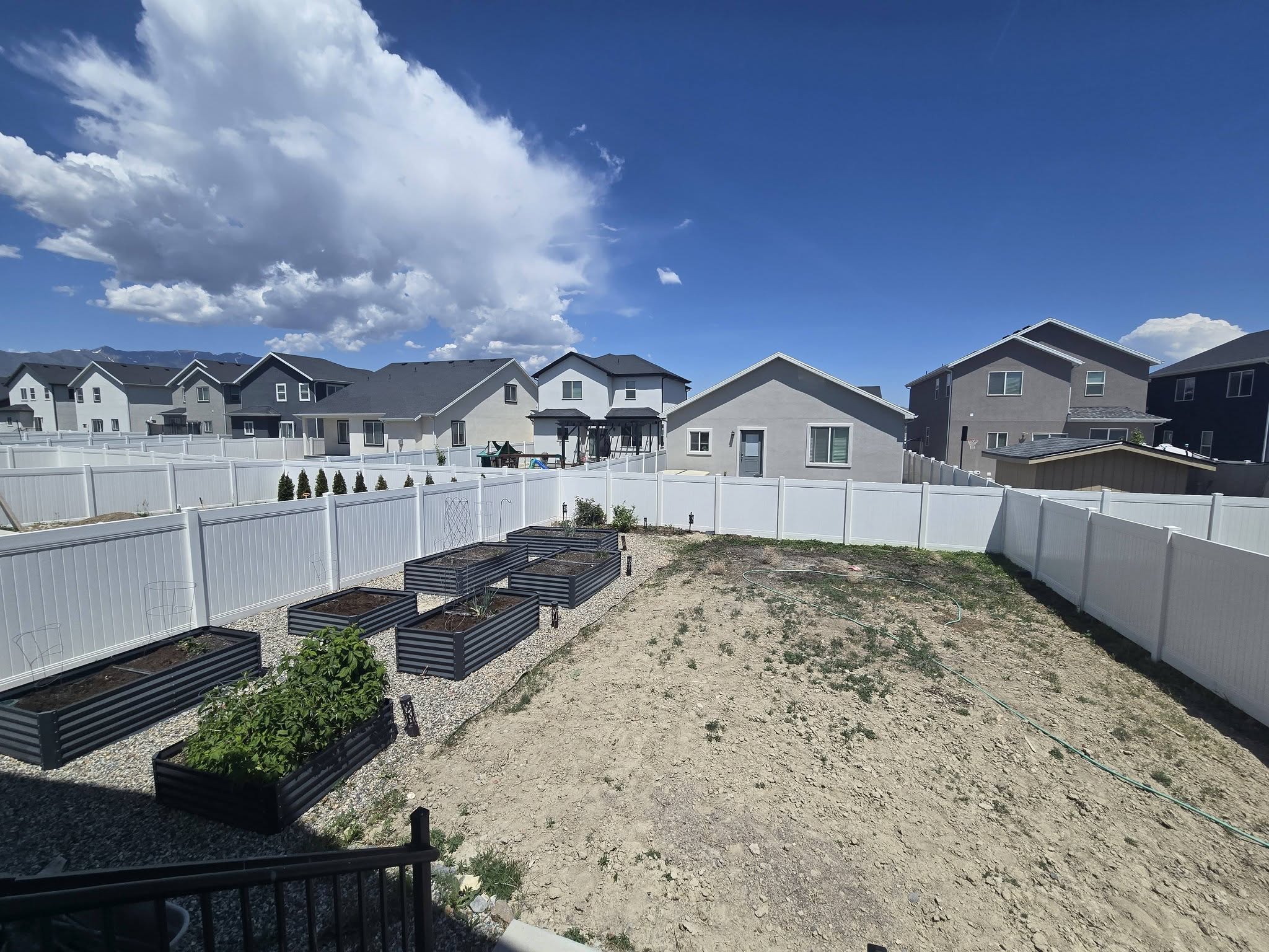 Fenced backyard featuring a residential view and a vegetable garden