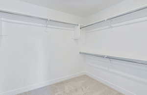 Owner's walk in closet with light colored carpet