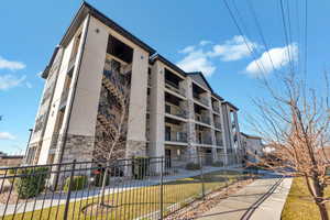 Grassy area for play and dog walking