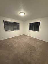 Unfurnished room featuring a textured ceiling and carpet floors