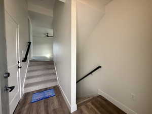 Stairs with wood finished floors and baseboards