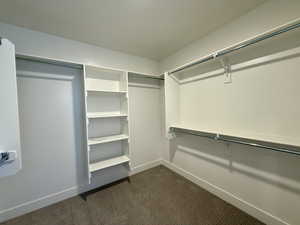 Walk in closet featuring dark colored carpet