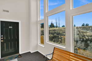 Foyer entrance featuring a high ceiling and carpet floors