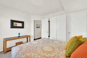 Carpeted bedroom featuring white walls, a built-in wardrobe, and a paneled door