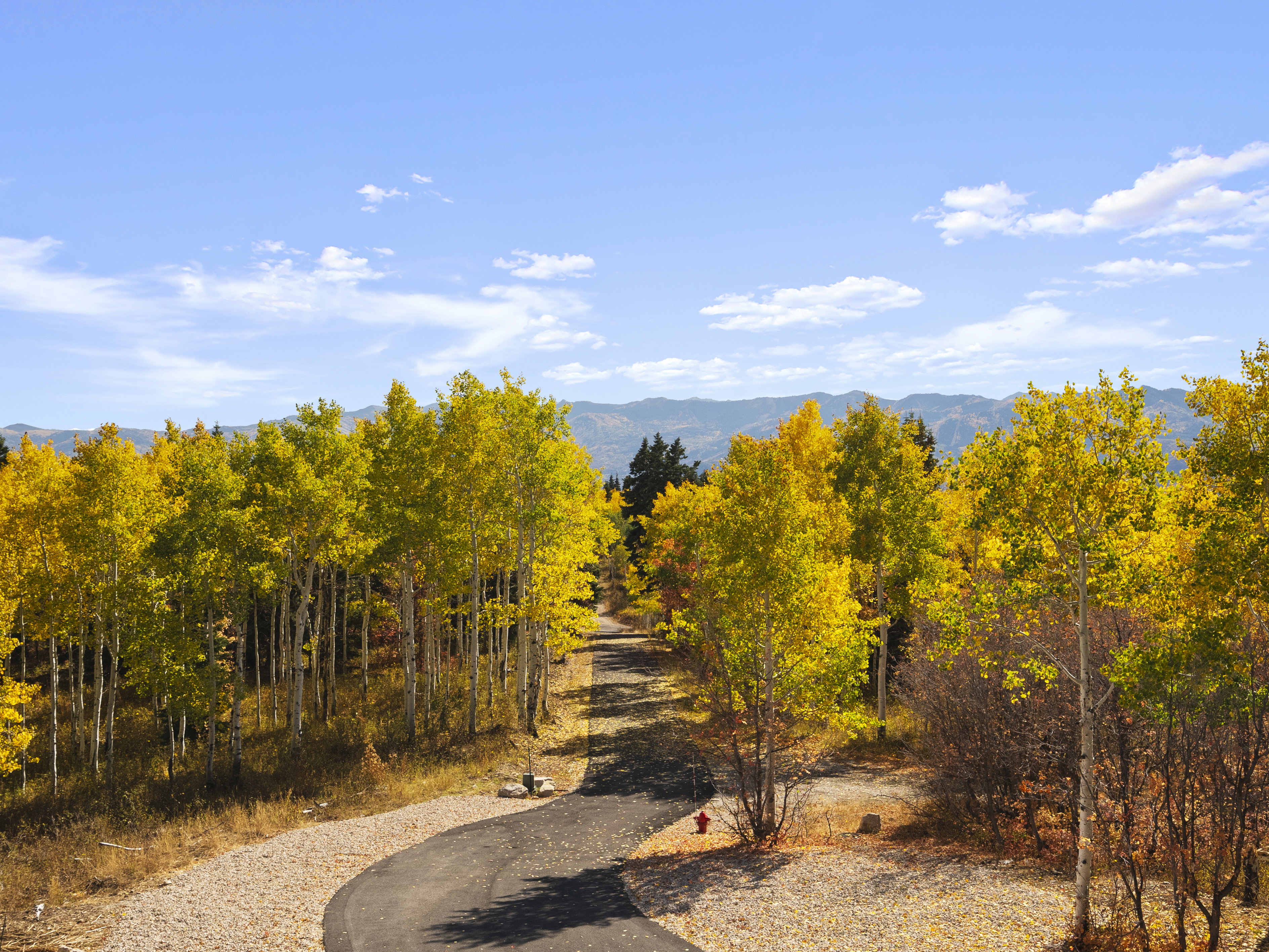 View of mountain entrance to prperty