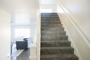 Stairs featuring baseboards and wood finished floors