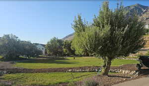 View of community with a mountain view