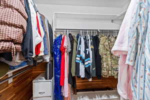 View of walk in closet