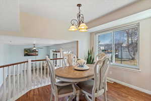 Dining area with wood finished floors, a textured ceiling, a ceiling fan, and suspended lighting