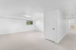 Expansive family room in basement