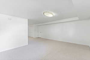 Expansive family room in basement