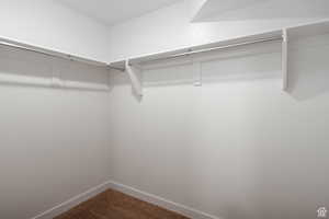 Walk in closet with carpet