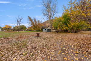 View of yard with an outbuilding