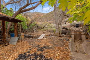 View of yard with a mountain view