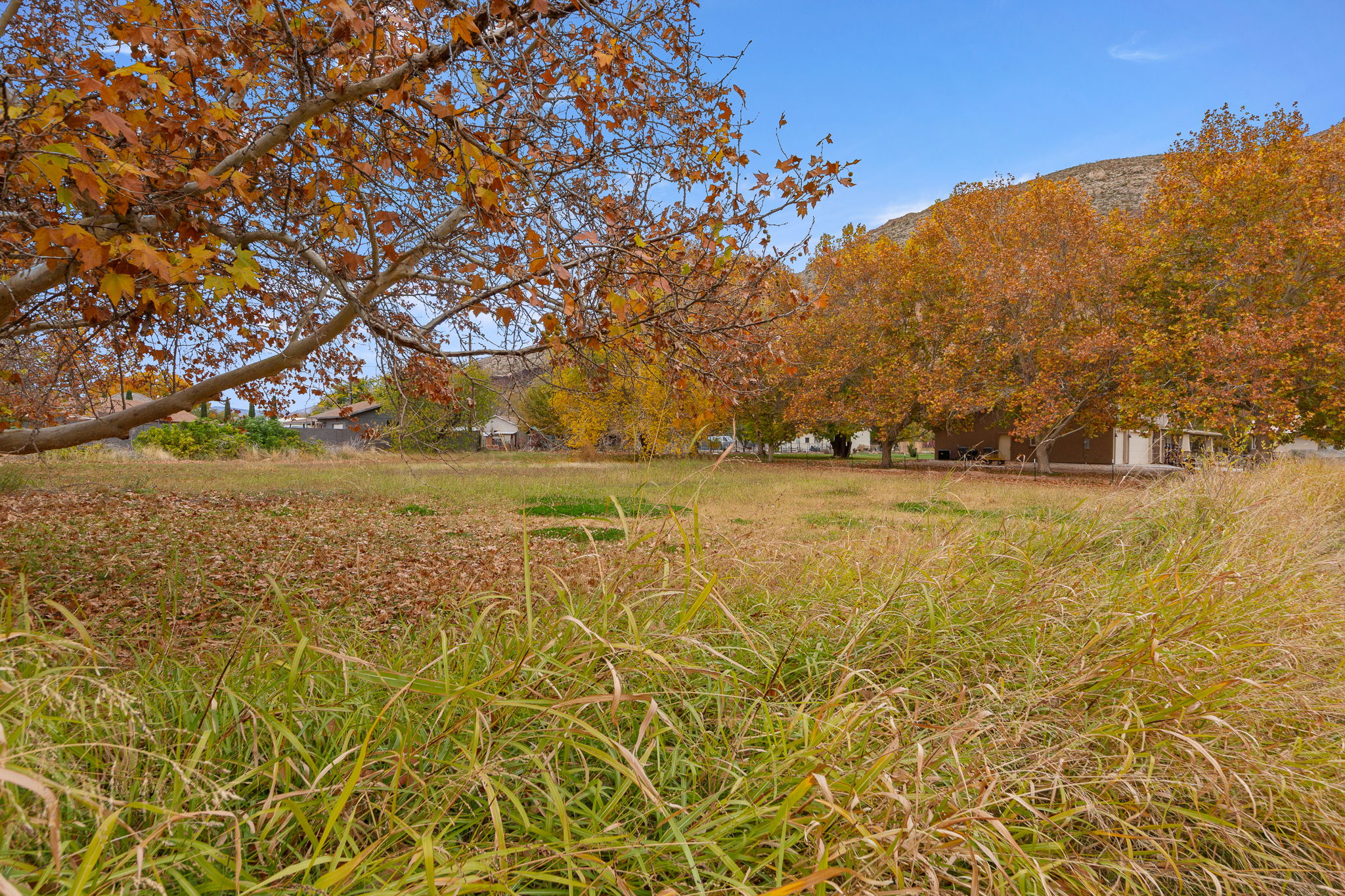 View of yard with a mountain view