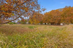 View of yard with a mountain view