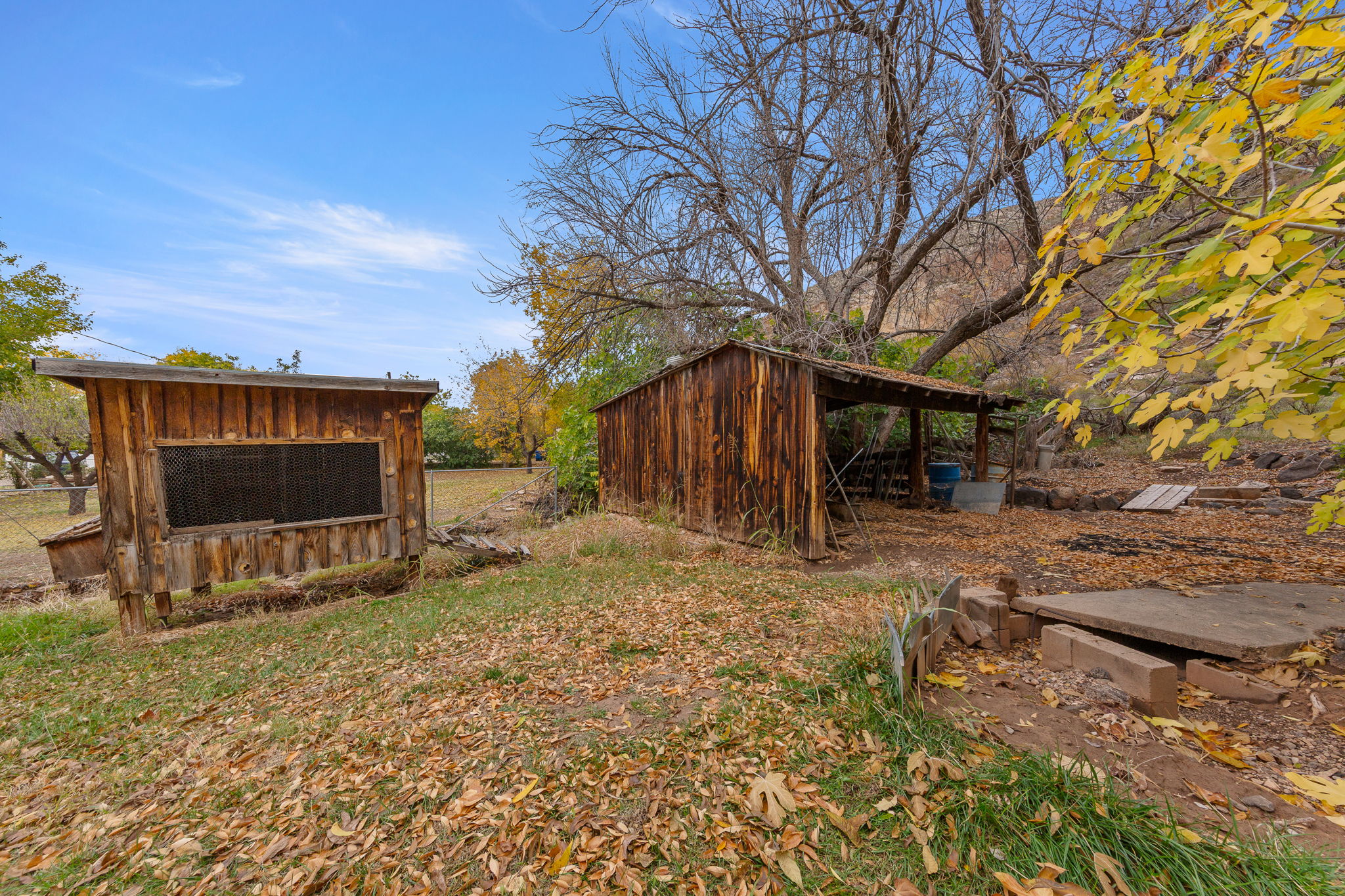 View of yard featuring an outbuilding